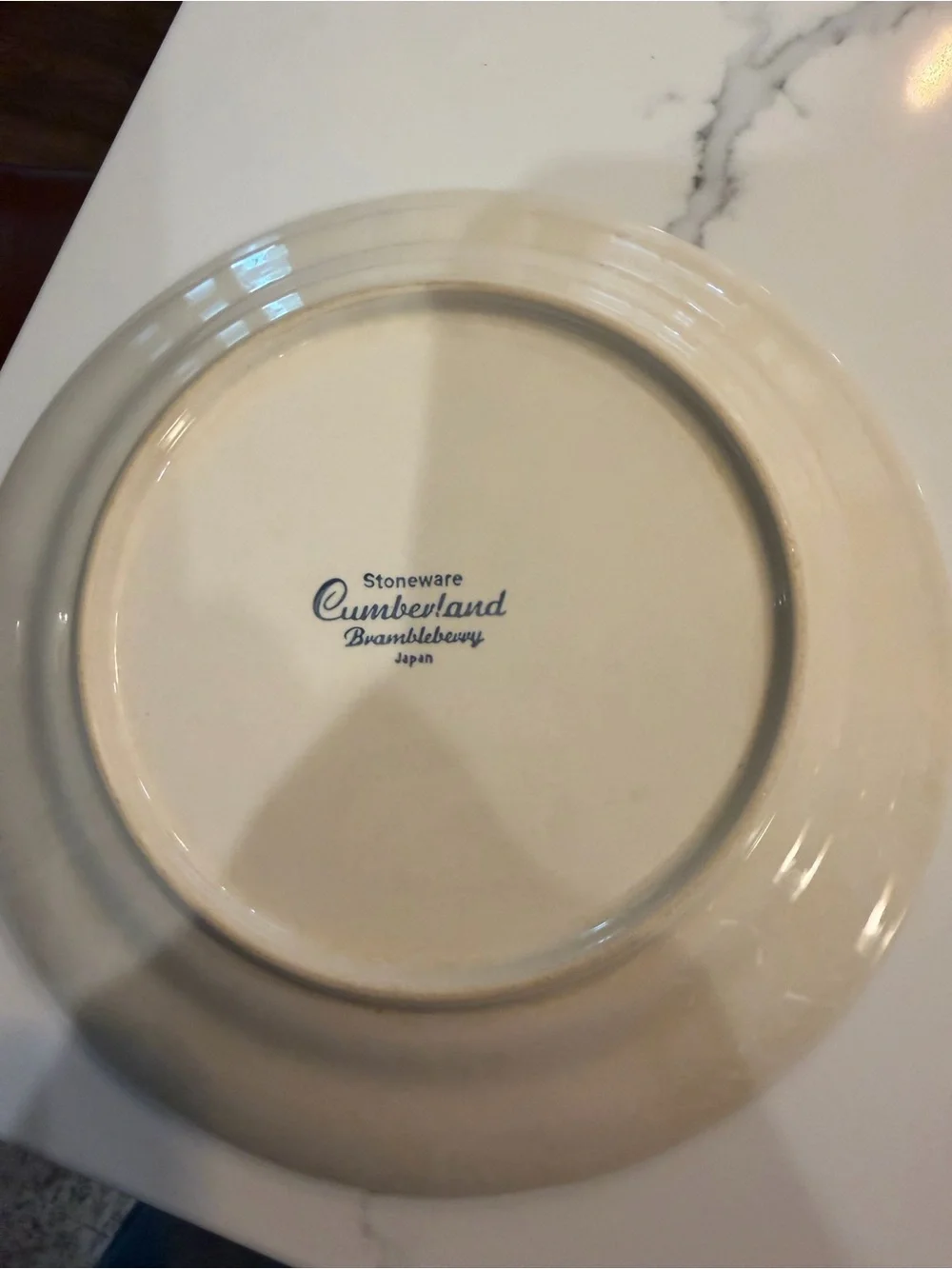 Classic Floral Stoneware Dinner Plates - Cream with Blue & Coral Floral Pattern